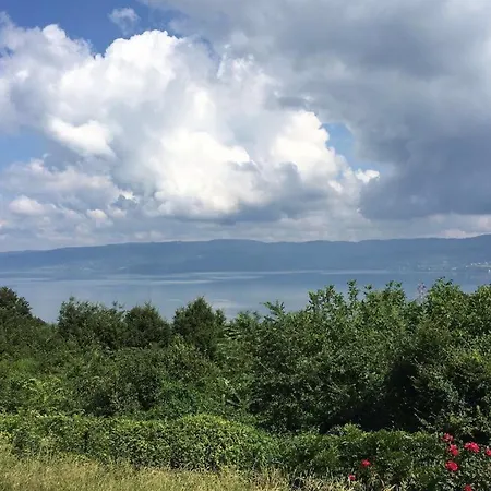 Uzun Villa
